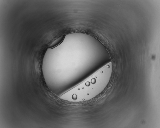 X0000103401010200809120919