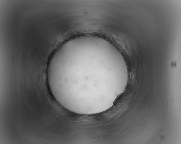 X0000103401012200809120919
