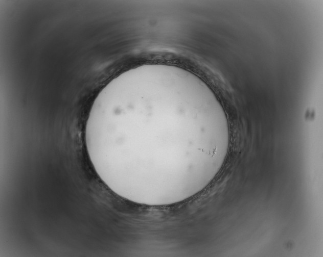 X0000103401013200809120919