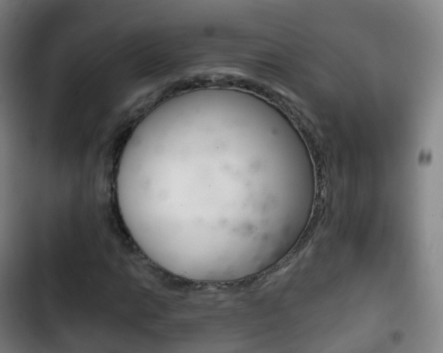 X0000103401014200809120919