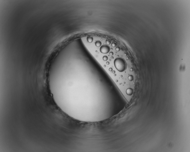 X0000103401016200809120919