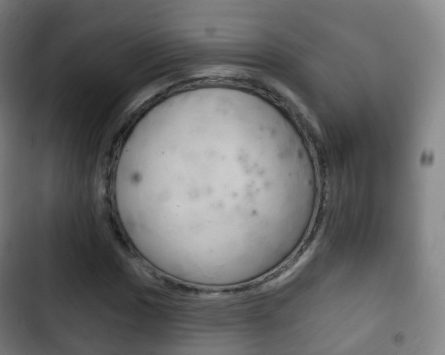 X0000103401017200809120919
