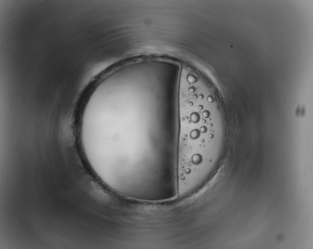 X0000103401018200809120919