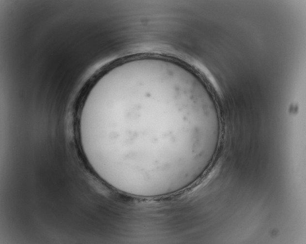 X0000103401019200809120919