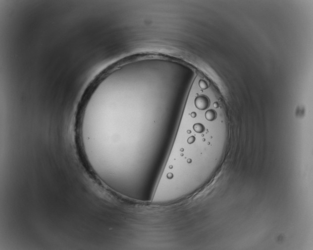 X0000103401020200809120919