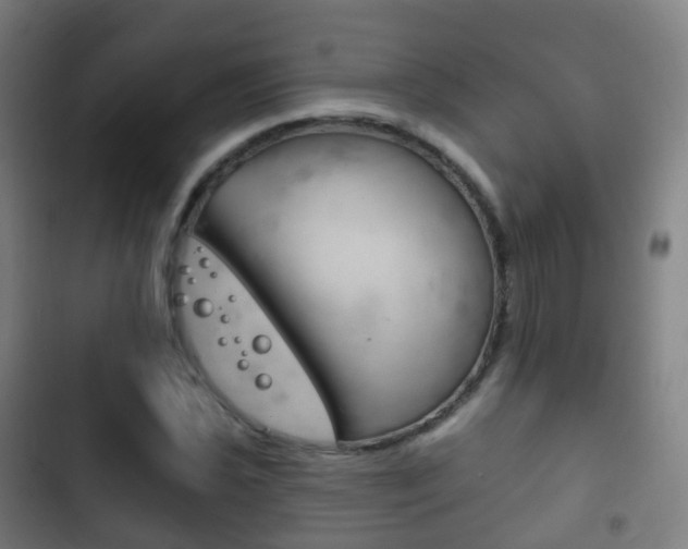 X0000103401021200809120919