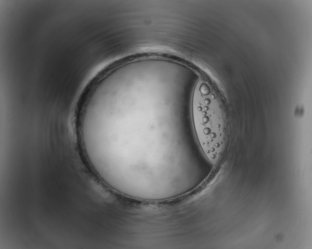 X0000103401022200809120919