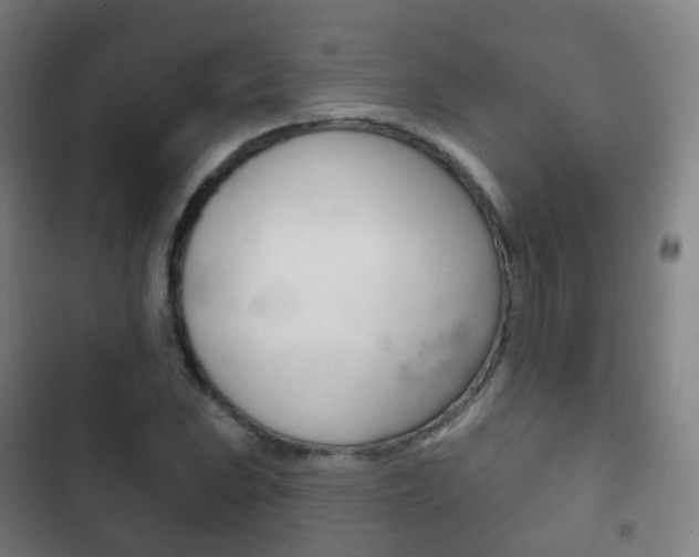X0000103401023200809120919