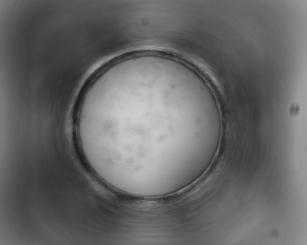 X0000103401024200809120919
