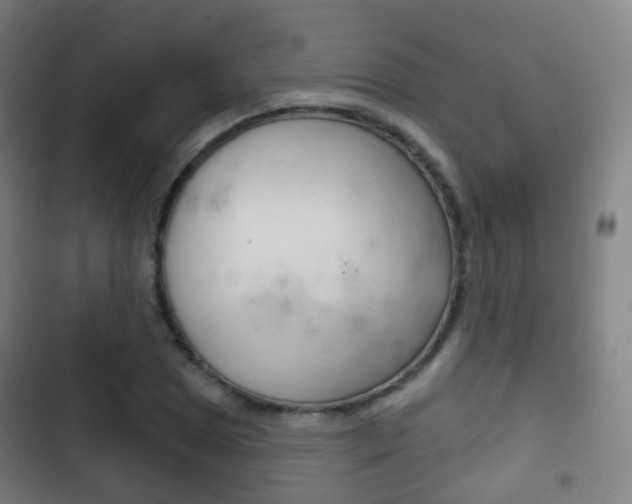 X0000103401025200809120919