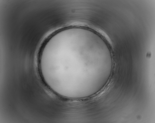 X0000103401027200809120919