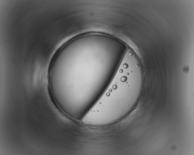 X0000103401028200809120919