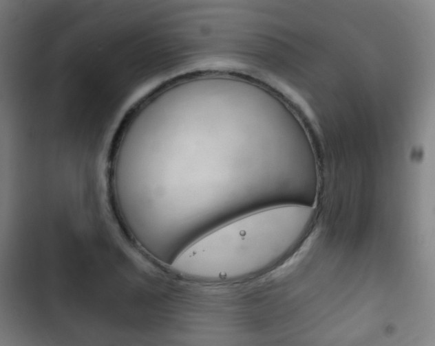 X0000103401029200809120919