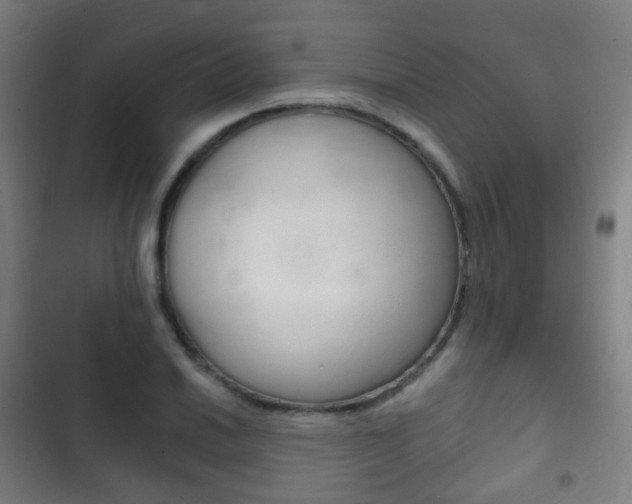 X0000103401030200809120919