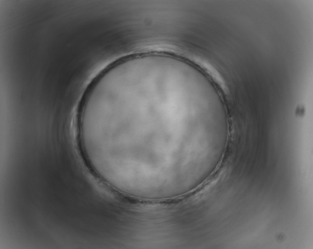 X0000103401031200809120919