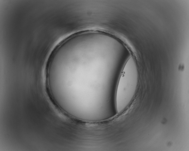 X0000103401032200809120919