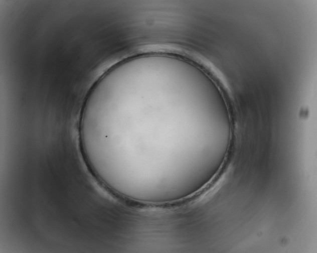 X0000103401033200809120919
