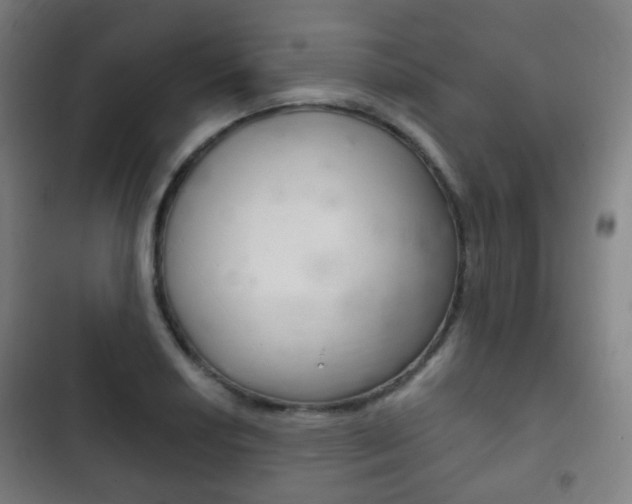 X0000103401034200809120919