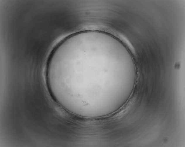 X0000103401035200809120919