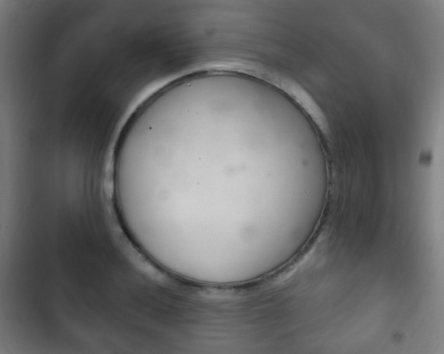 X0000103401036200809120919