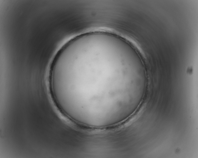 X0000103401038200809120919