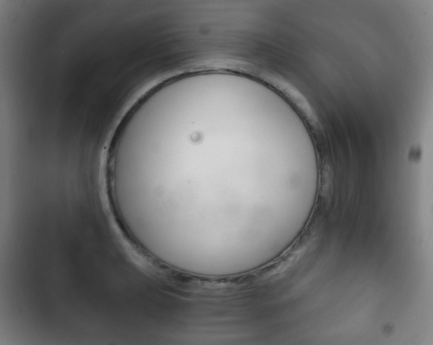 X0000103401039200809120919