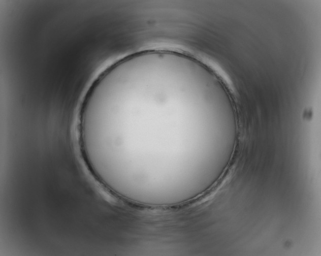 X0000103401040200809120919