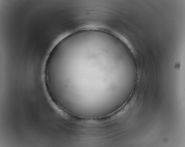 X0000103401042200809120919