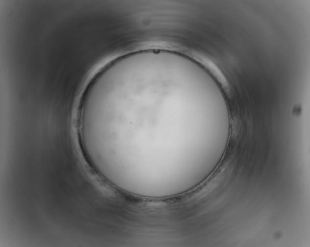 X0000103401043200809120919