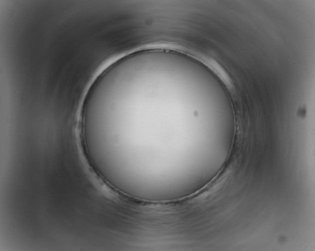 X0000103401044200809120919