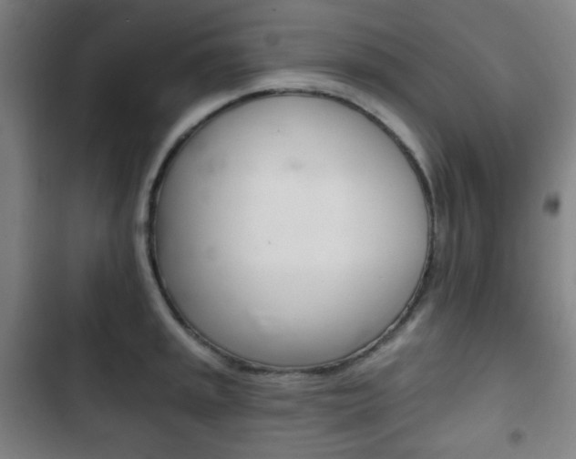 X0000103401045200809120919