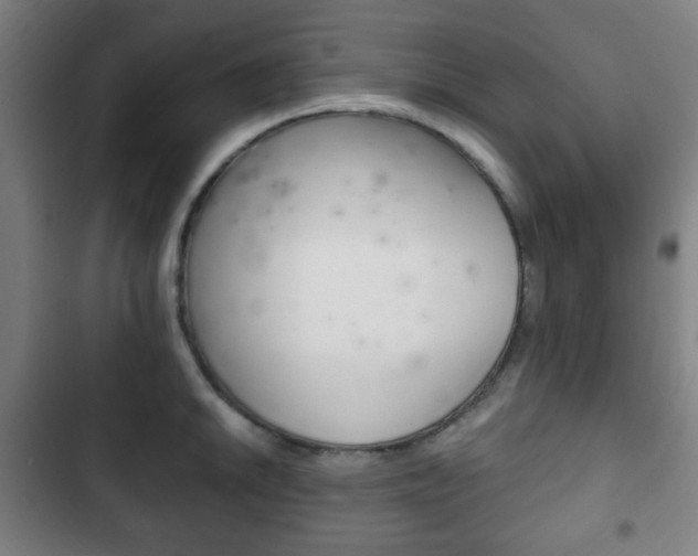 X0000103401046200809120919