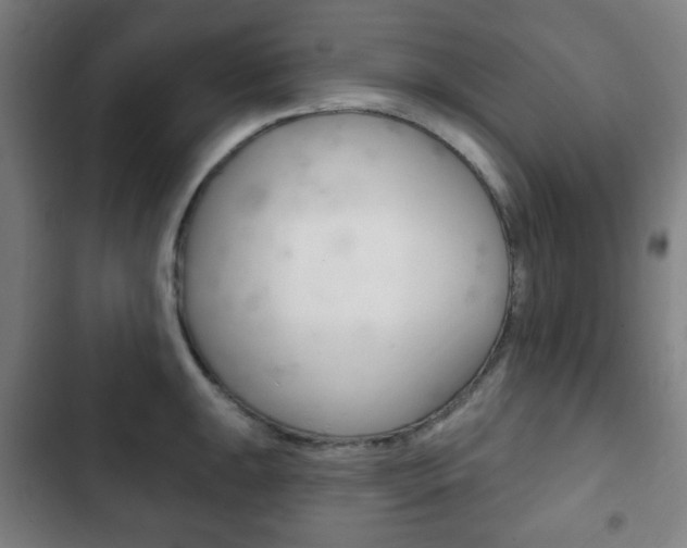 X0000103401047200809120919