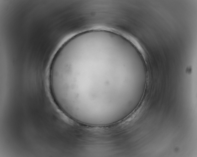 X0000103401048200809120919