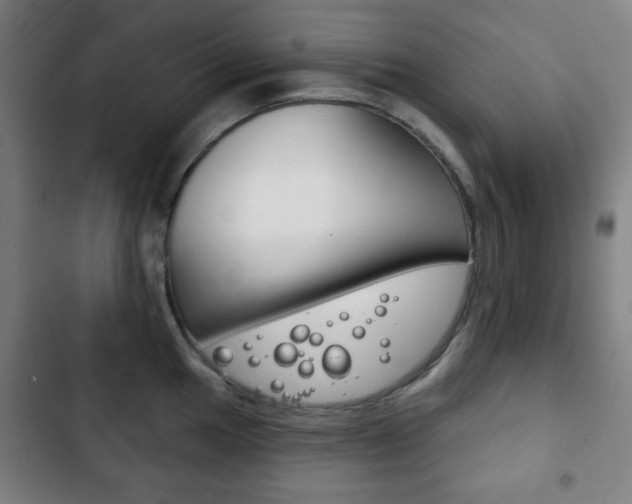 X0000103401049200809120919