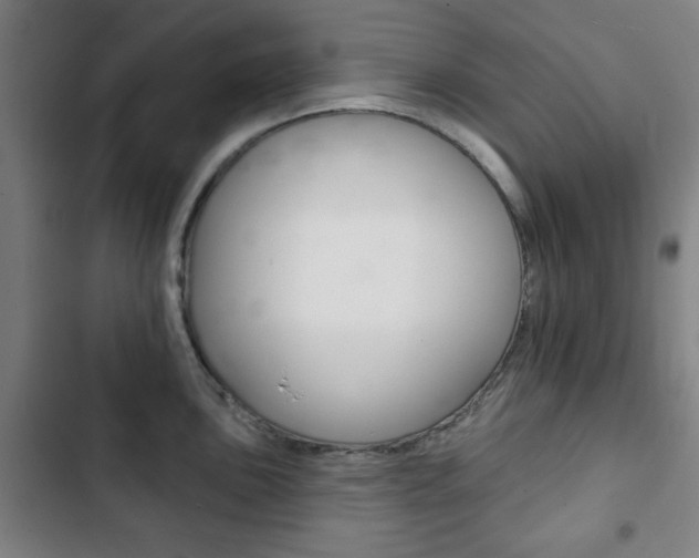 X0000103401051200809120919