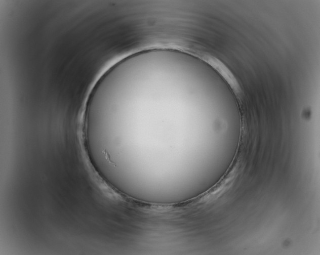 X0000103401052200809120919