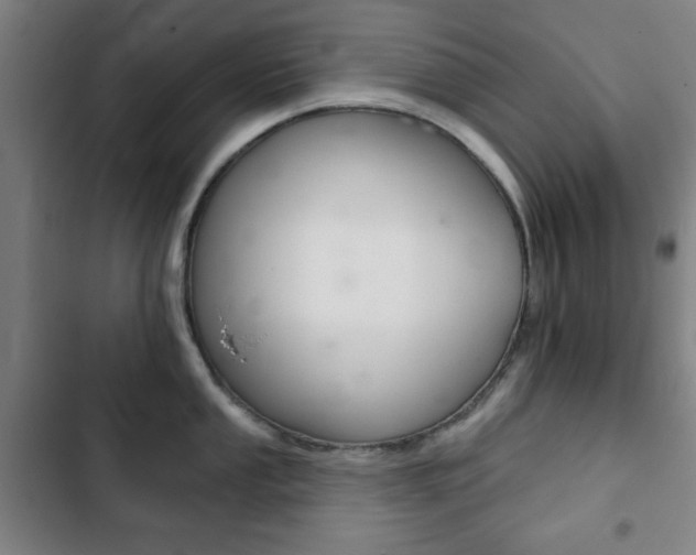 X0000103401053200809120919