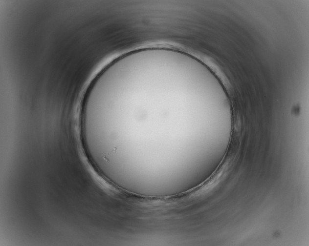 X0000103401054200809120919