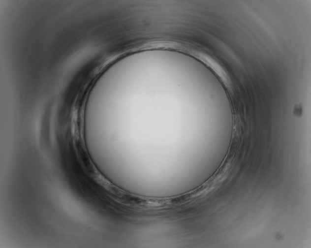 X0000103401055200809120919
