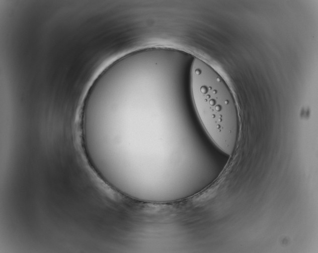 X0000103401056200809120919