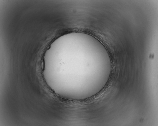 X0000103401057200809120918