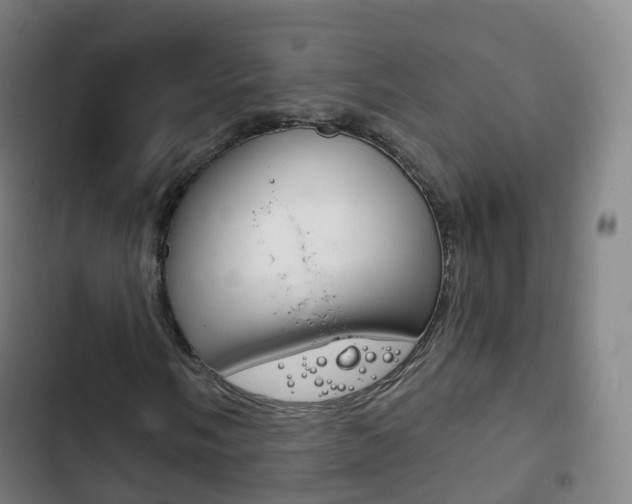 X0000103401058200809120918