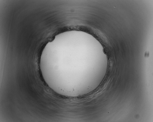 X0000103401060200809120918
