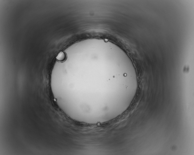 X0000103401061200809120918