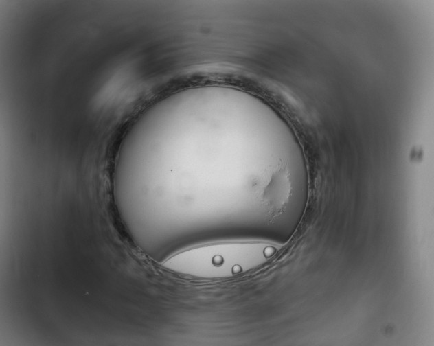 X0000103401062200809120918