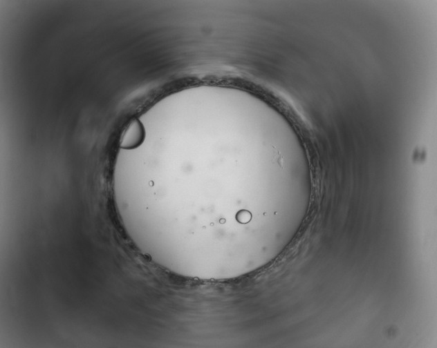 X0000103401063200809120918