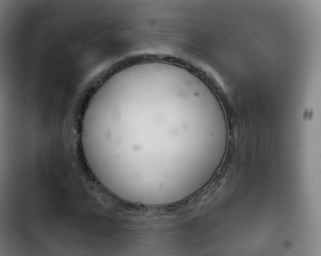 X0000103401064200809120918