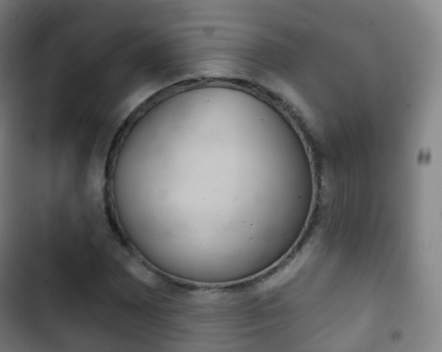 X0000103401065200809120918