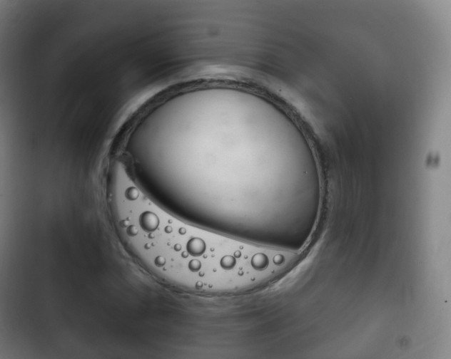X0000103401066200809120918